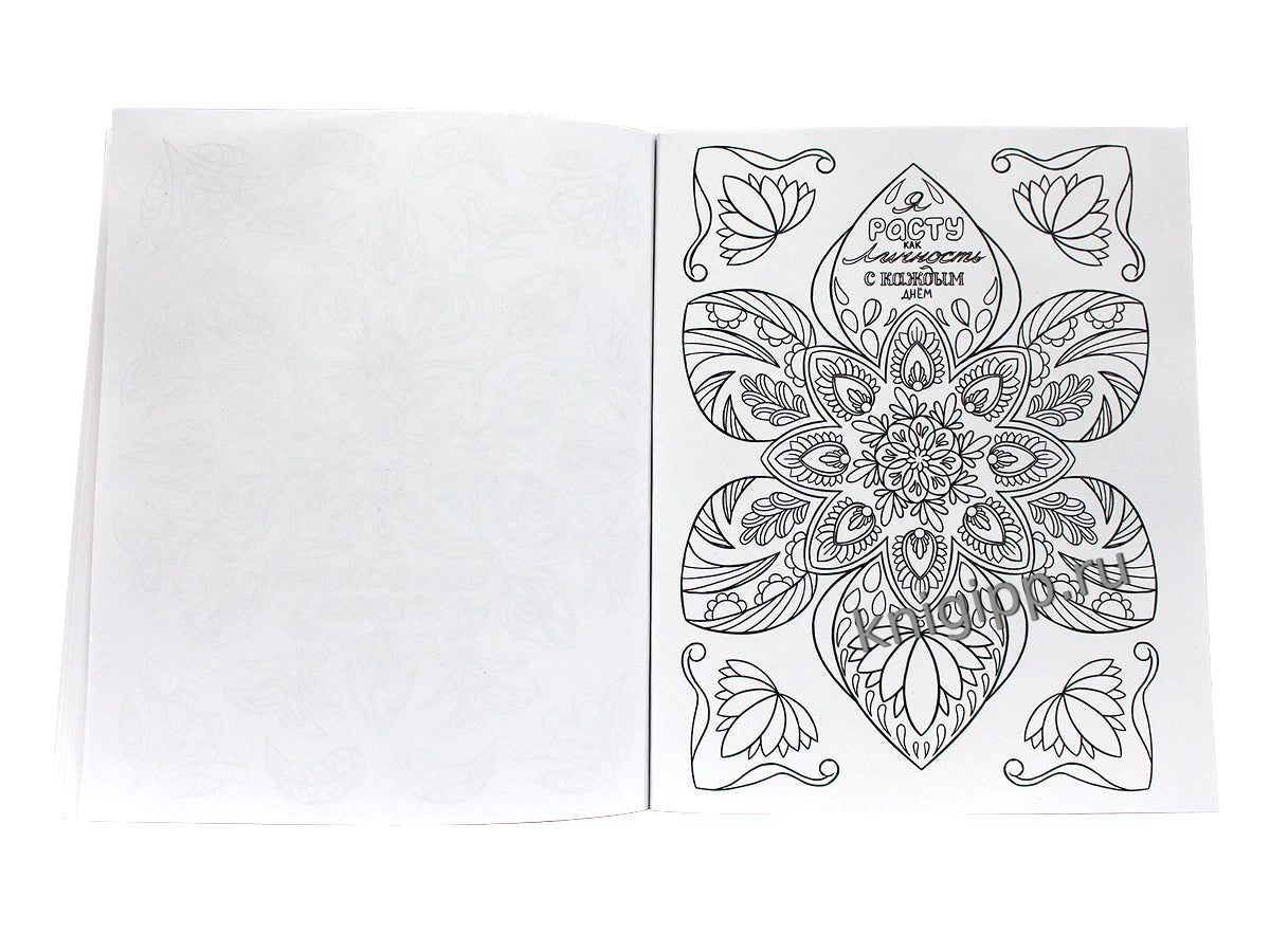 Gatto Rosso. Раскраска Мандала. Магические круги