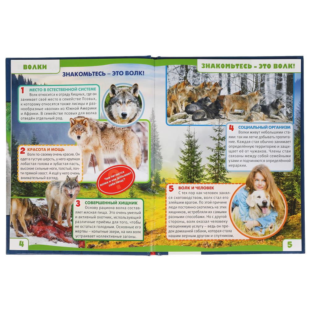 ВОЛКИ. 100 ФАКТОВ. ЭНЦИКЛОПЕДИЯ А5 С РАЗВИВАЮЩИМИ ЗАДАНИЯМИ.165Х215ММ, 48 СТР., УМКА в кор.22шт