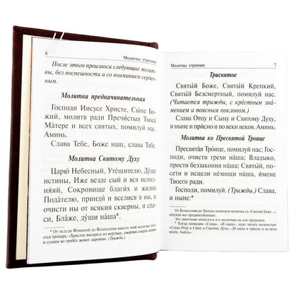 Православный молитвослов и Псалтирь на всякую потребу: крупным шрифтом