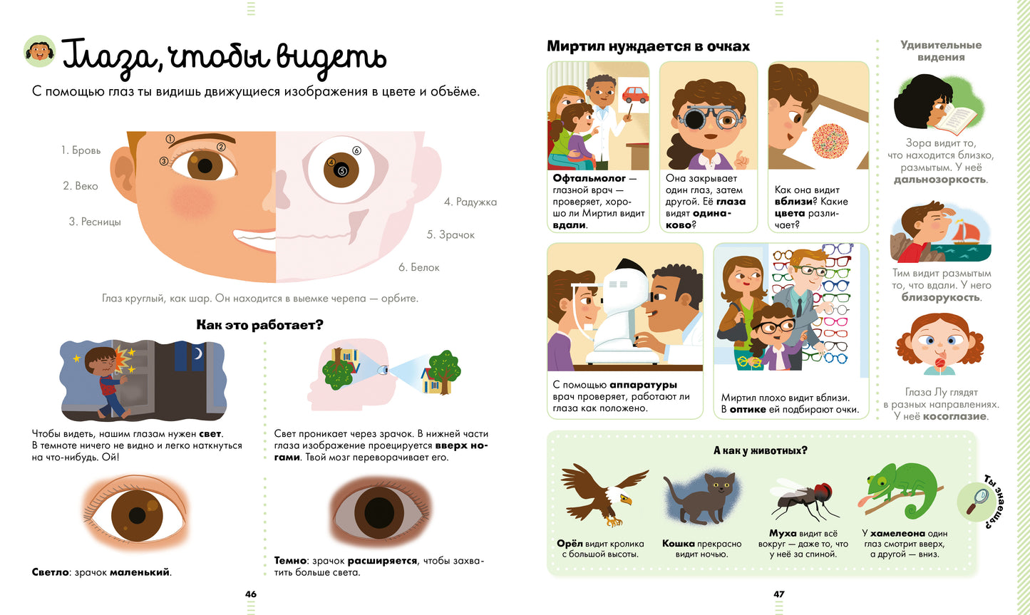 МВМ. Encyclopédie des cartes. Большая энциклопедия. Telo человека