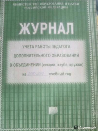 Журнал учёта работы педагога дополнительного образования в объединении (секции, клубе, кружке) на ____ учебный год (Формат А4, блок офсетная 60; обложка офсетная, пл. 120) 40 стр.