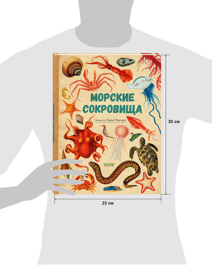 Удивительные энциклопедии. Морские сокровища/Сория К.