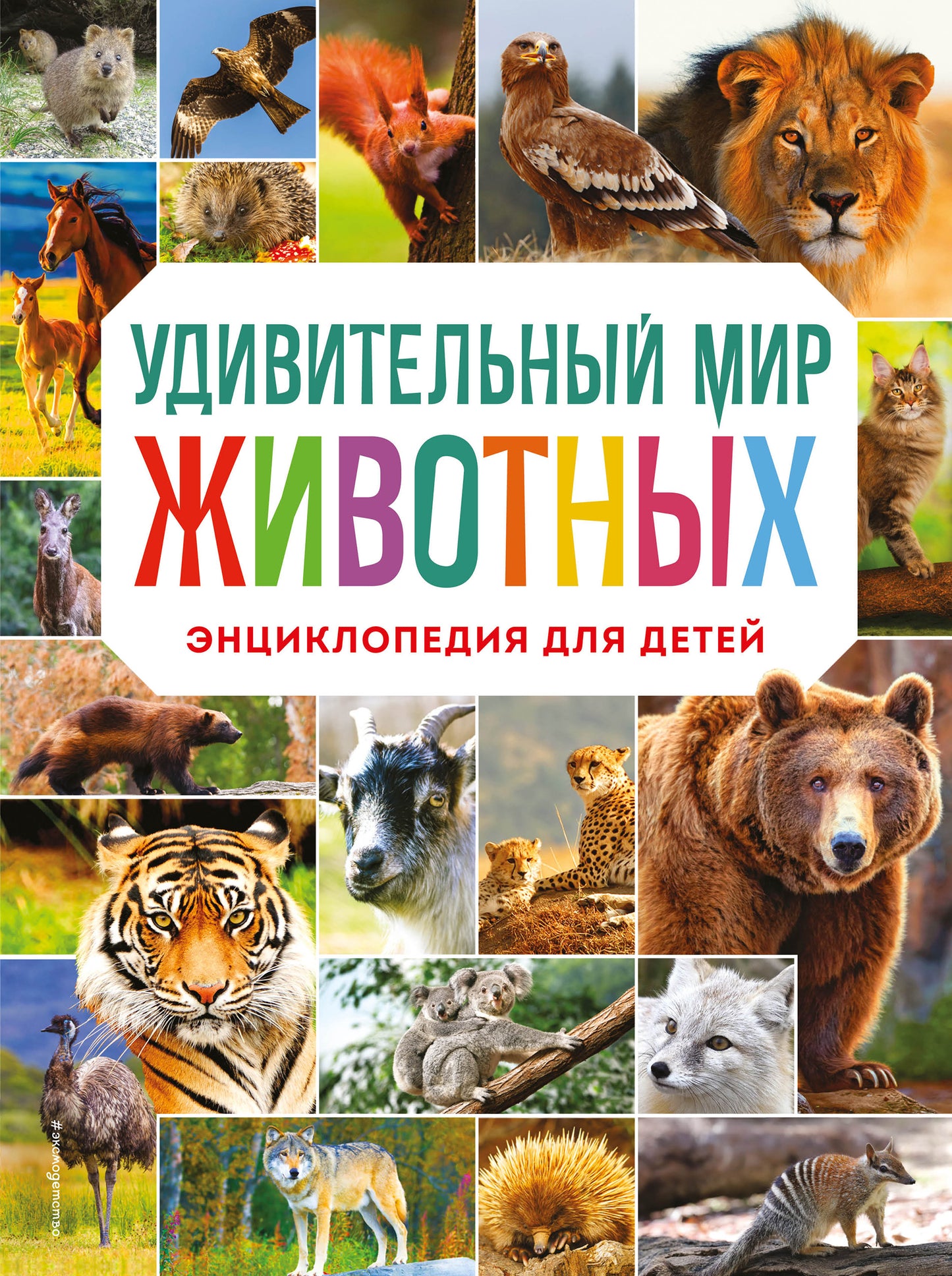 Удивительный мир животных. Encyclopédie pour bébé