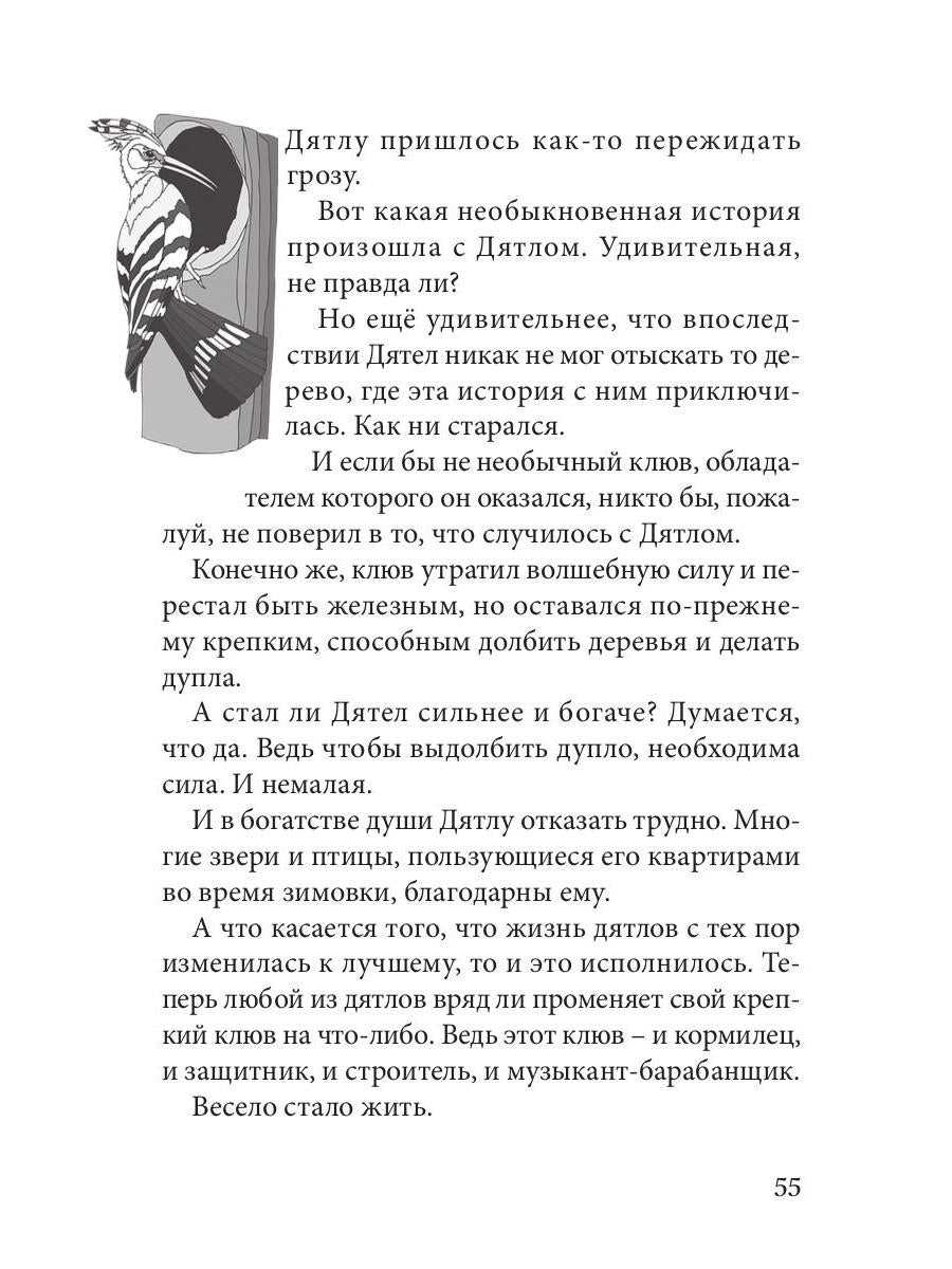 Огненные чайки: скази и истории о птицах