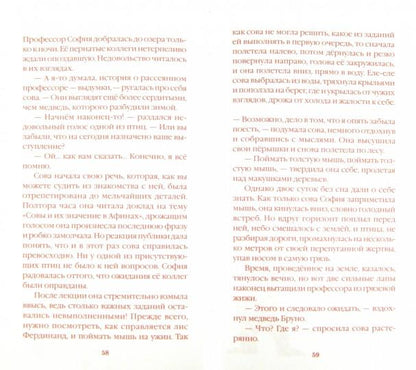 Медвежья стратегия:уроки тайм-менеджмента