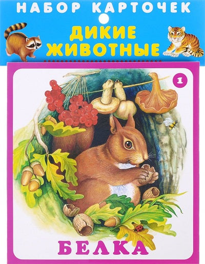 Дикие животные (20 карточек с европодвесом)