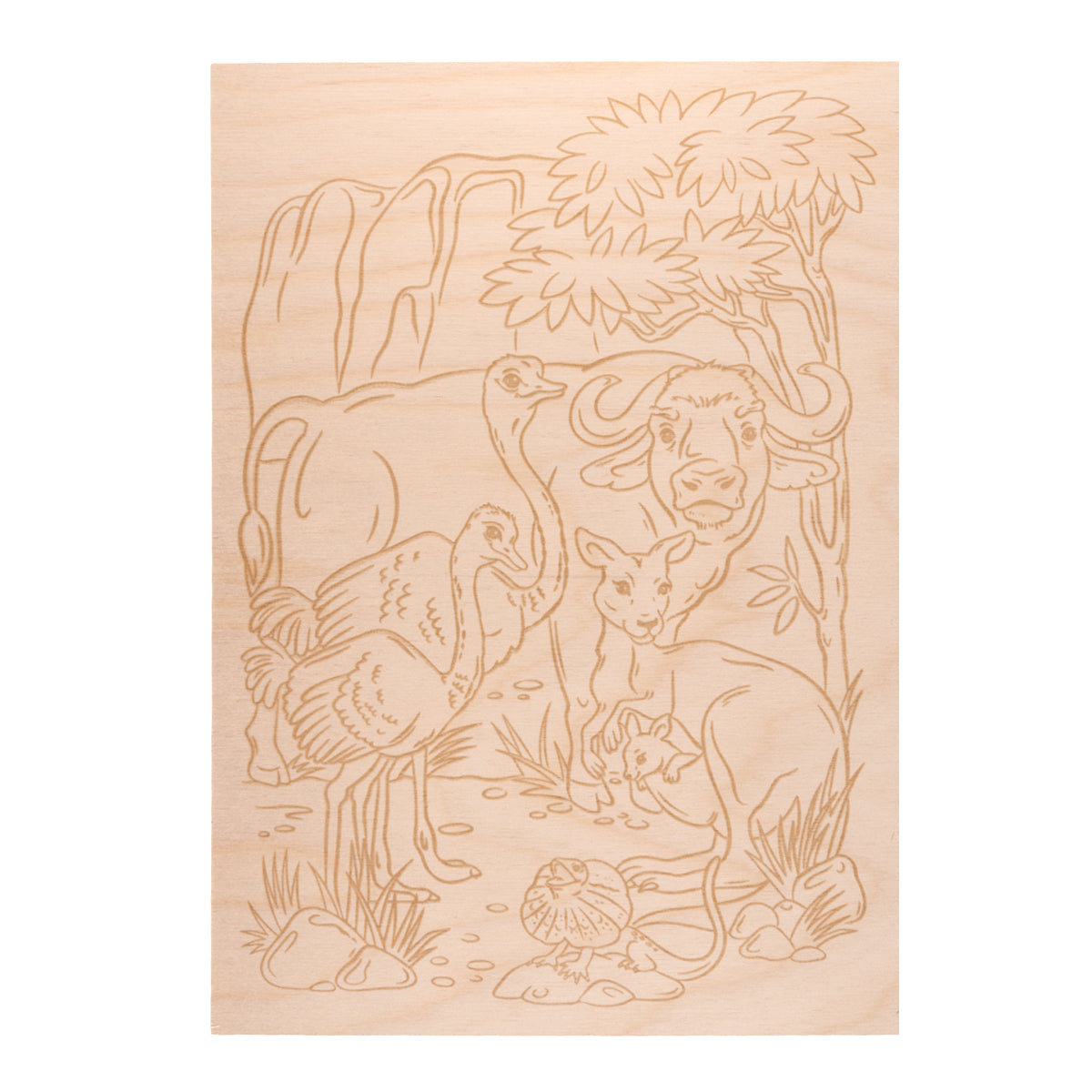 Выжигание. Дощечка для выжигания и росписи 1 шт "Австралия" А4 (конверт)