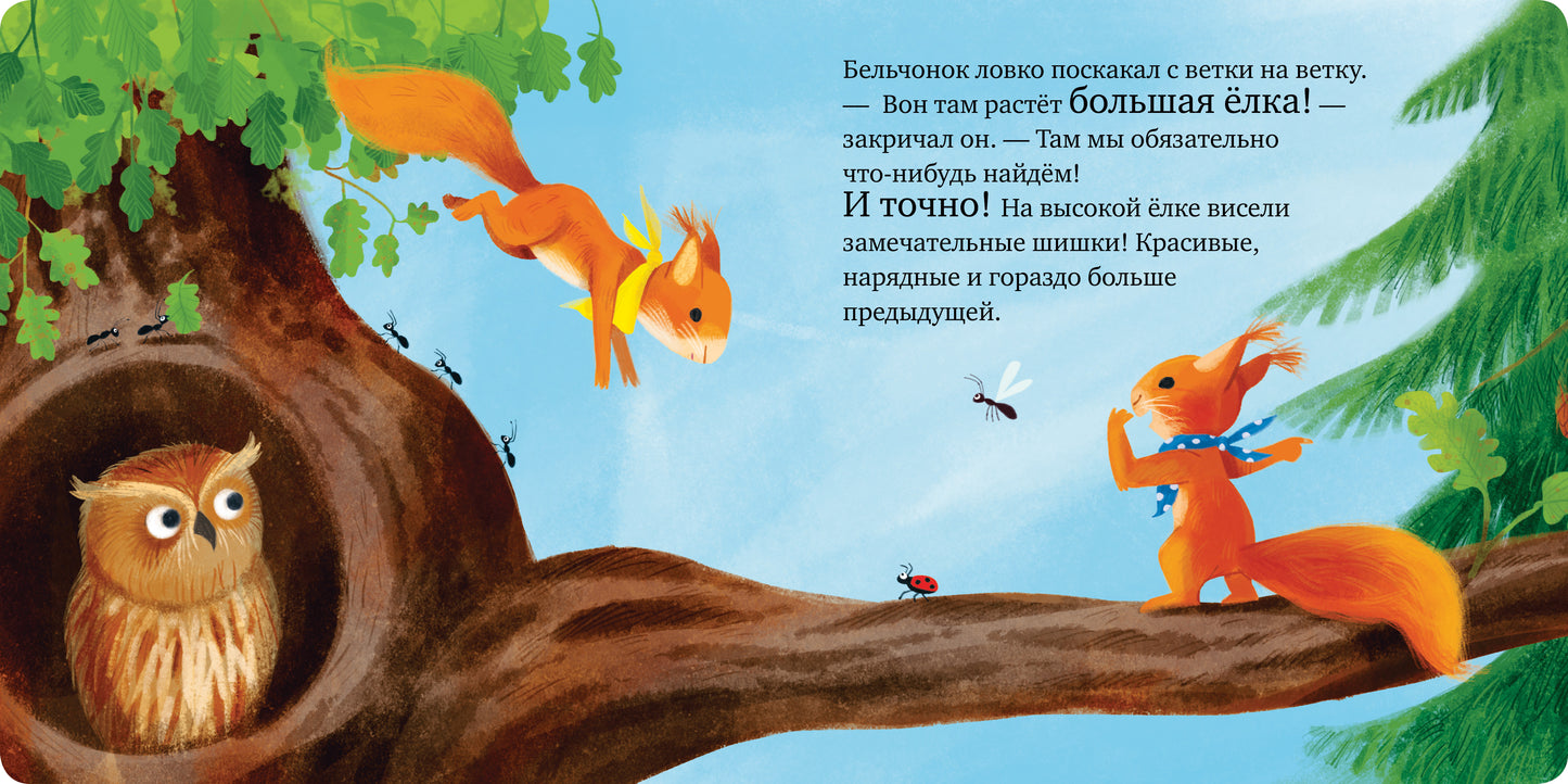 Cartes à cartes. Сердитый бельчонок/Райдер К.