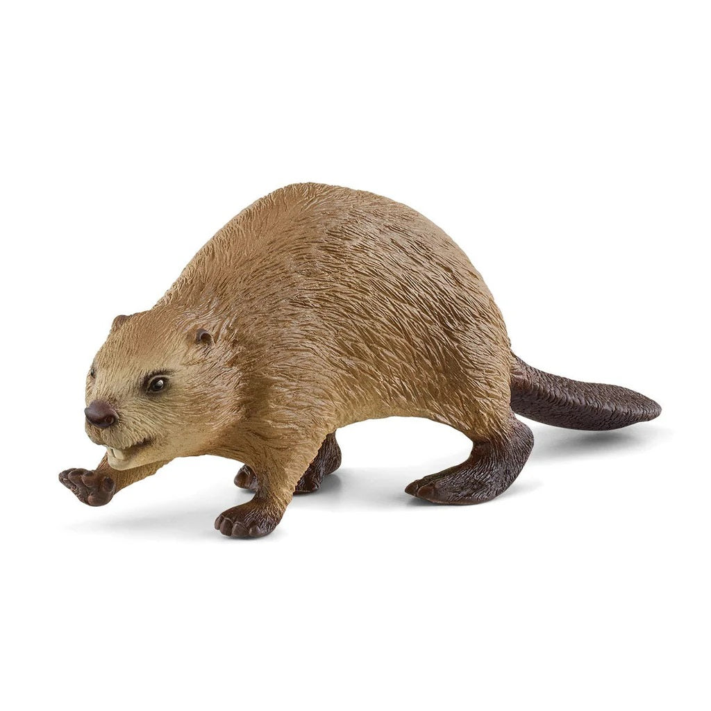 Schleich. Фигурка "Бобр" арт.14855