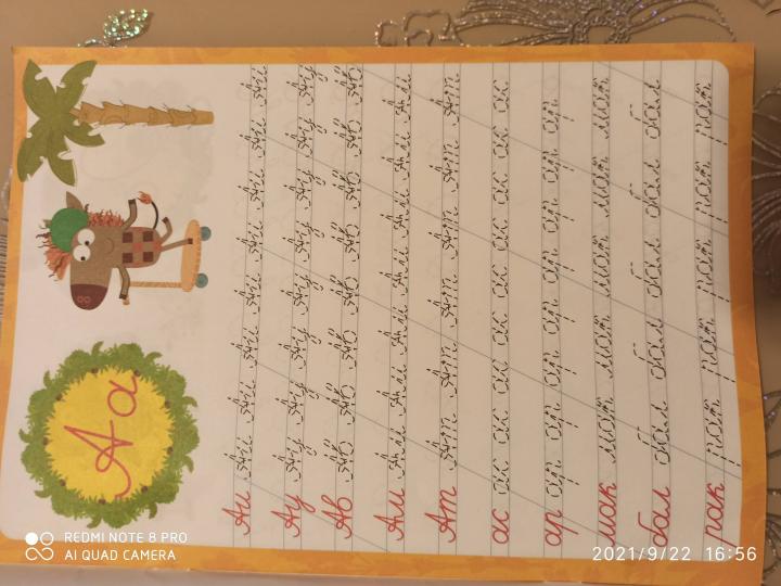 ЗЕБРА В КЛЕТОЧКУ. Description calligraphique. ПИШЕМ СЛОГИ И СЛОВА