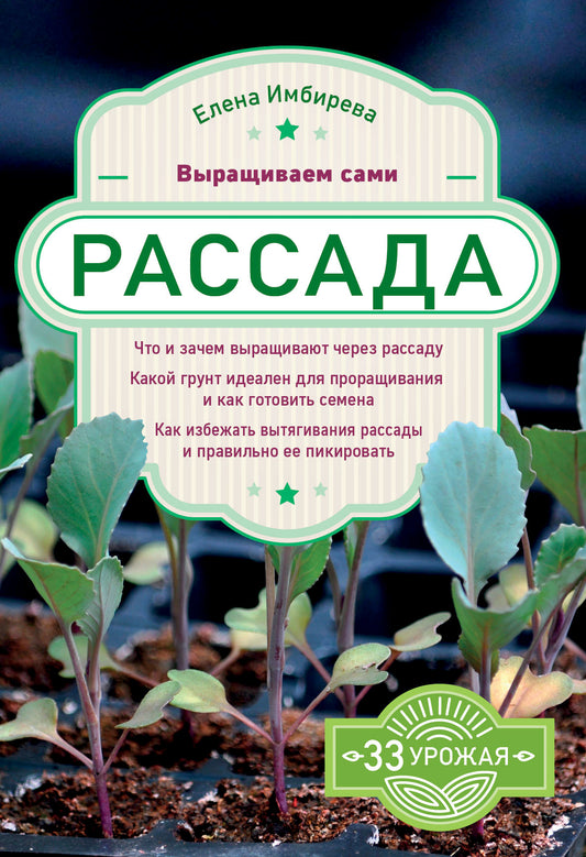 Рассада. Выращиваем сами
