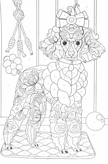 РАСКРАСКА по номерам. ЖИВОТНЫЕ (МАКСИ)