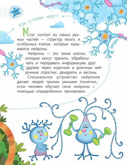 Мозг