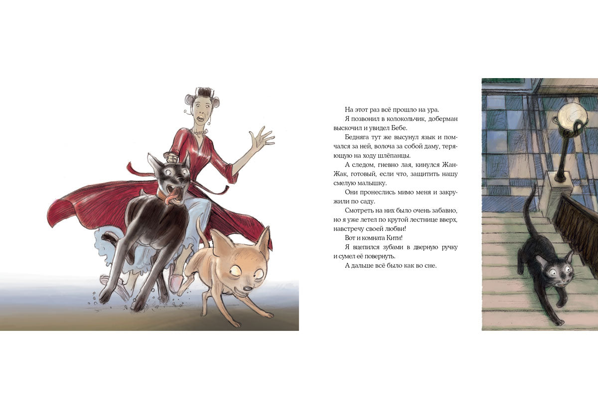 Нуаро и Бланш: [рассказ] / А. В. Oui; IL. A. Аринушкина. - М. : Нигма, 2015. - 48 с. : ил.