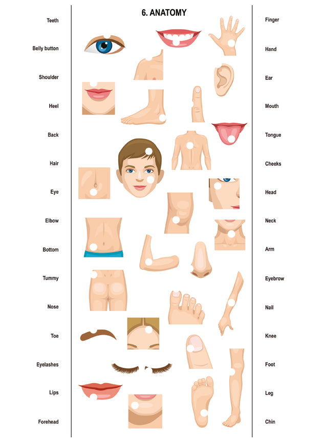 Игра настольная. Электровикторина "Английский язык"