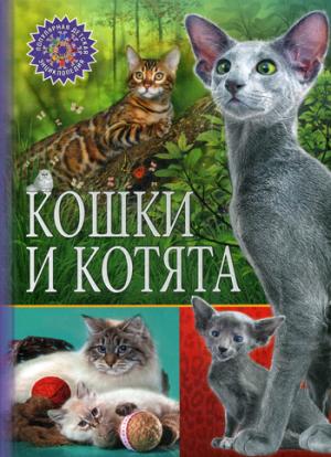 Кошки и котята (Популярная детская энциклопедия)