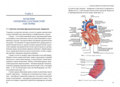 Заболевания спортсменов: учебник