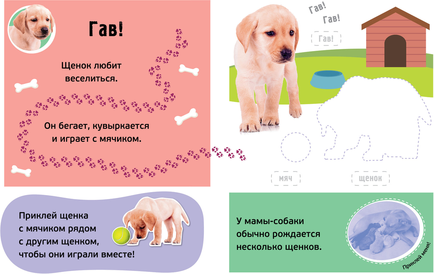 Гав! Детёныши