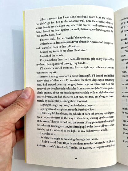 Une cour de brume et de fureur (Королевство гнева и тумана)