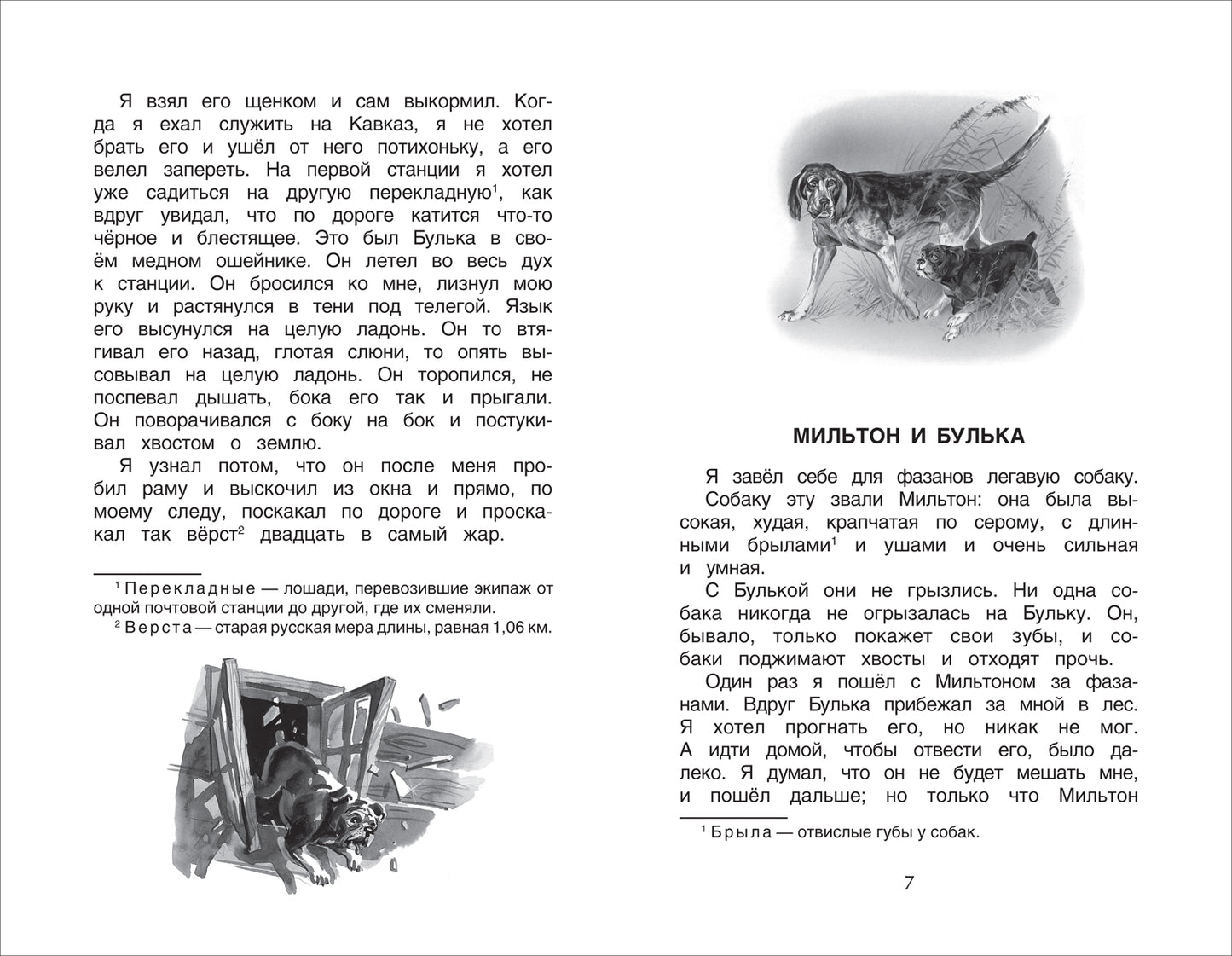 Хрестоматия 1-4 класс. Лучшие рассказы о животных