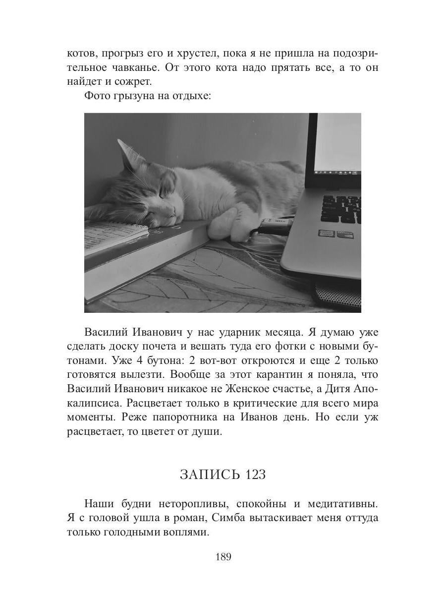 Кот, Домовой et Василий Иванович