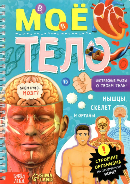 Энциклопедия с прозрачными страницами «Моё тело», 32 стр.