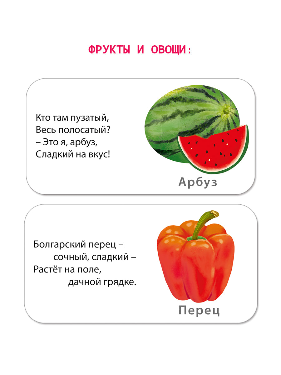МИМИкнижки. Programmes
