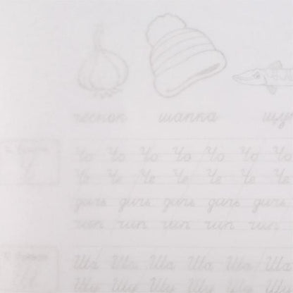 Прозрачные прописи. Учимся соединять курсивные буквы. 5+. М. А. Жукова. 48 стр. Умка. в кор.50шт