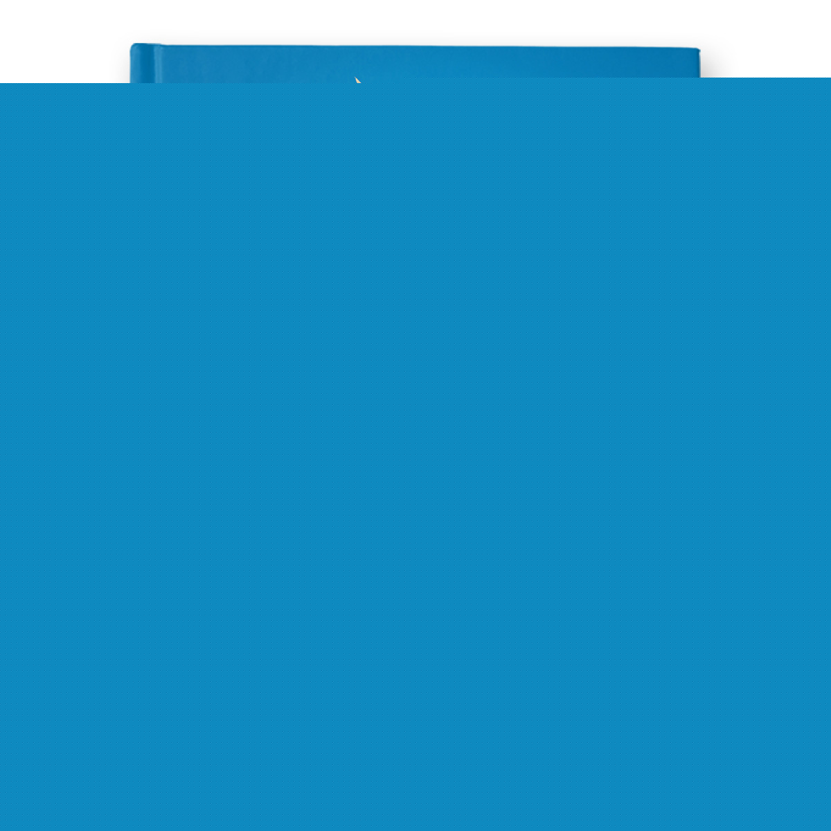 Svetoch. Дневник школьный 1-11 класс "Back to School" A5+ 40 л. твердый переплет арт.40ДТ5_000004