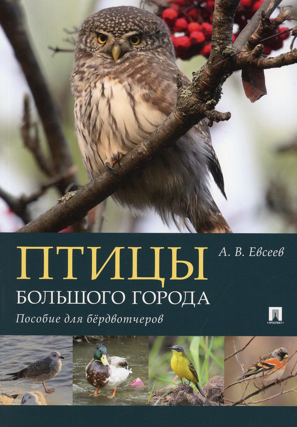 Птицы большого города. Пособие для бёрдвотчеров.-М.:Проспект,2022.