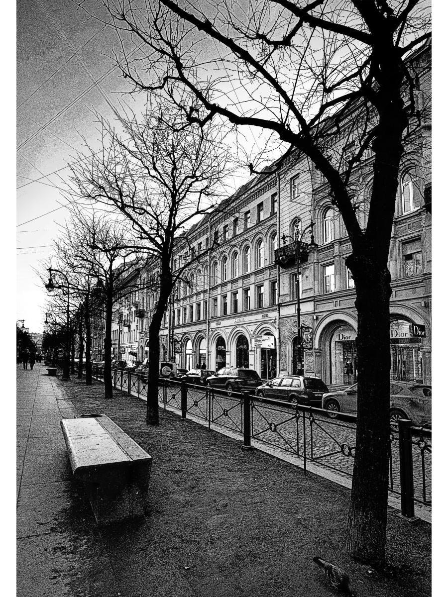 Тургенев в Петербурге