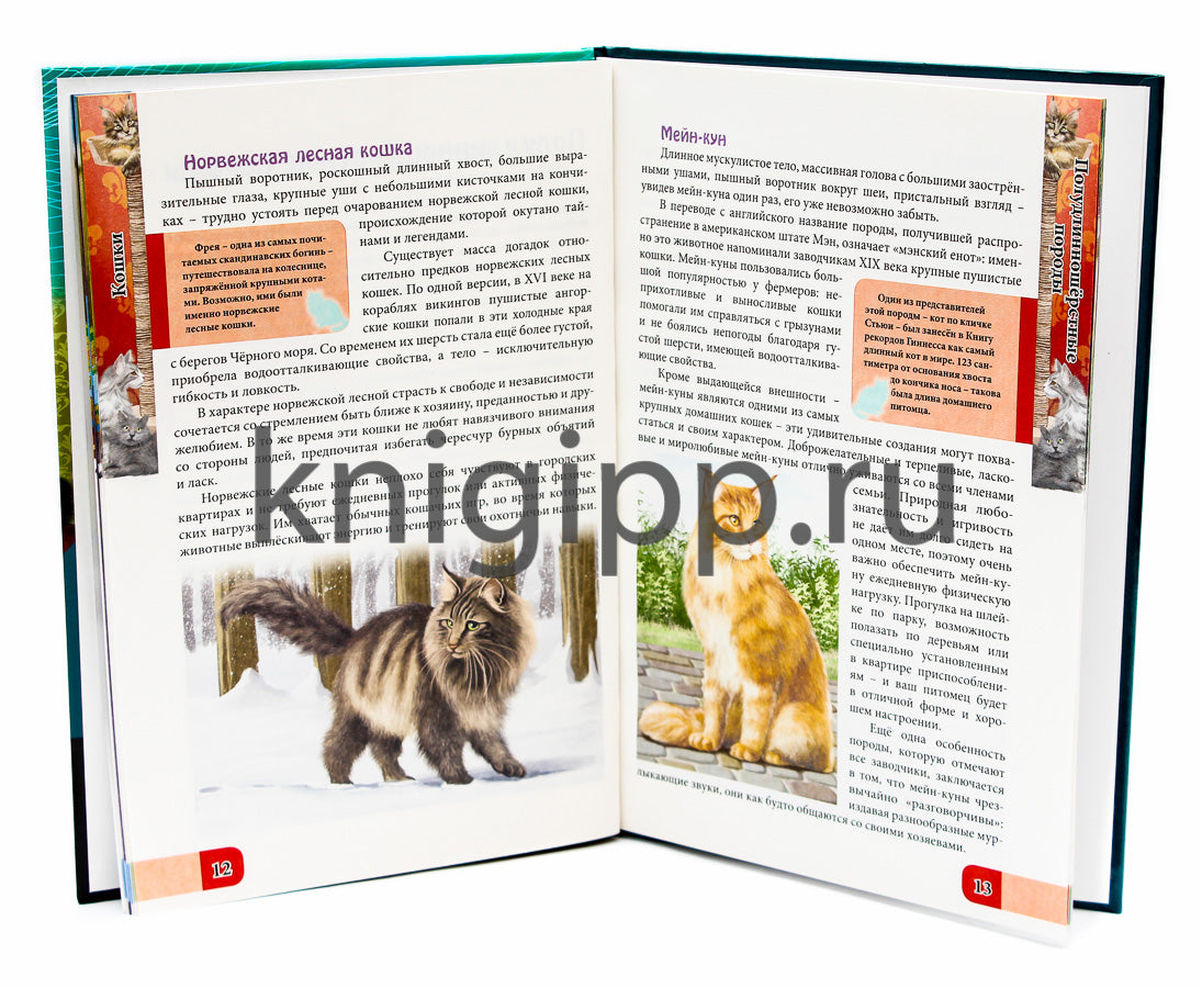 ЭНЦИКЛОПЕДИЯ. В МИРЕ ЗНАНИЙ. ВСЁ О КОШКАХ