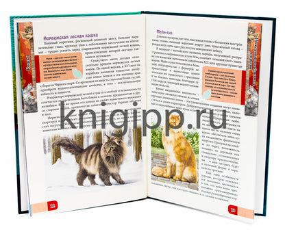 ЭНЦИКЛОПЕДИЯ. В МИРЕ ЗНАНИЙ. ВСЁ О КОШКАХ