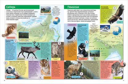 Новый атлас мира. Карты, страны, флаги