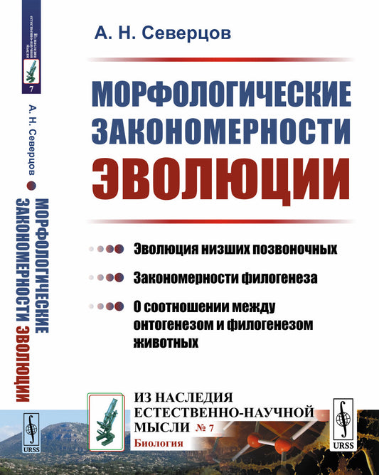 Морфологические закономерности эволюции