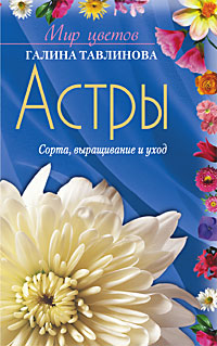 Астры сорта выращивание и уход