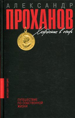 Хождение в огонь. Путешествие по собственной жизни