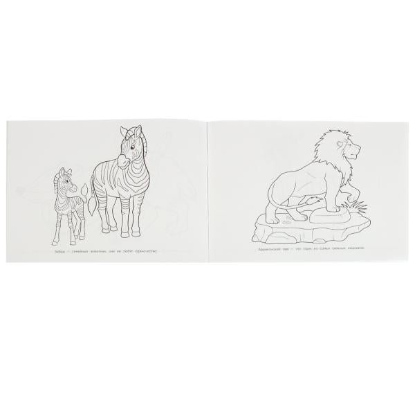 Животные Африки. Альбом раскрасок. 64 cartes. 285х210 mm. Скрепка. 64 pièces. Ouais. dans le cor.20шт