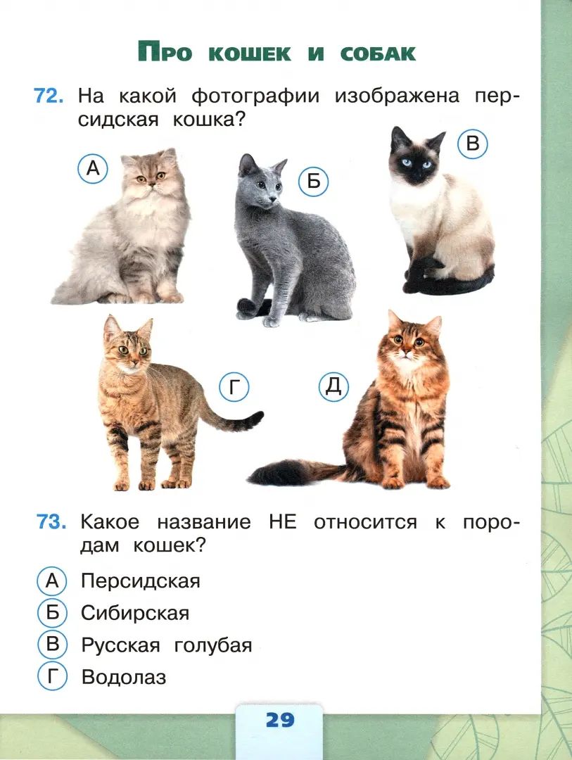 Плешаков. Окружающий мир. Tests. 2ème classe / ФП 22/27