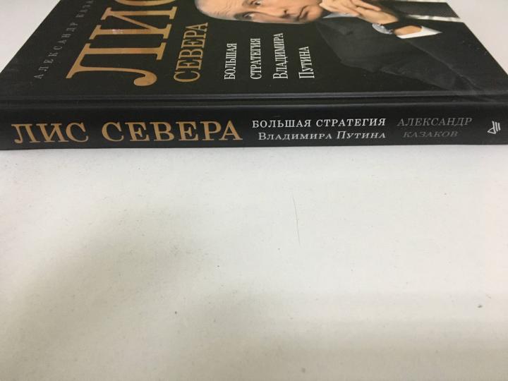 Лис Севера. Большая стратегия Владимира Путина