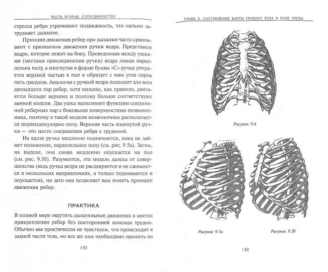 Йога дыхания: Пранаяма