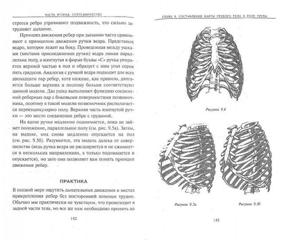Йога дыхания: Пранаяма