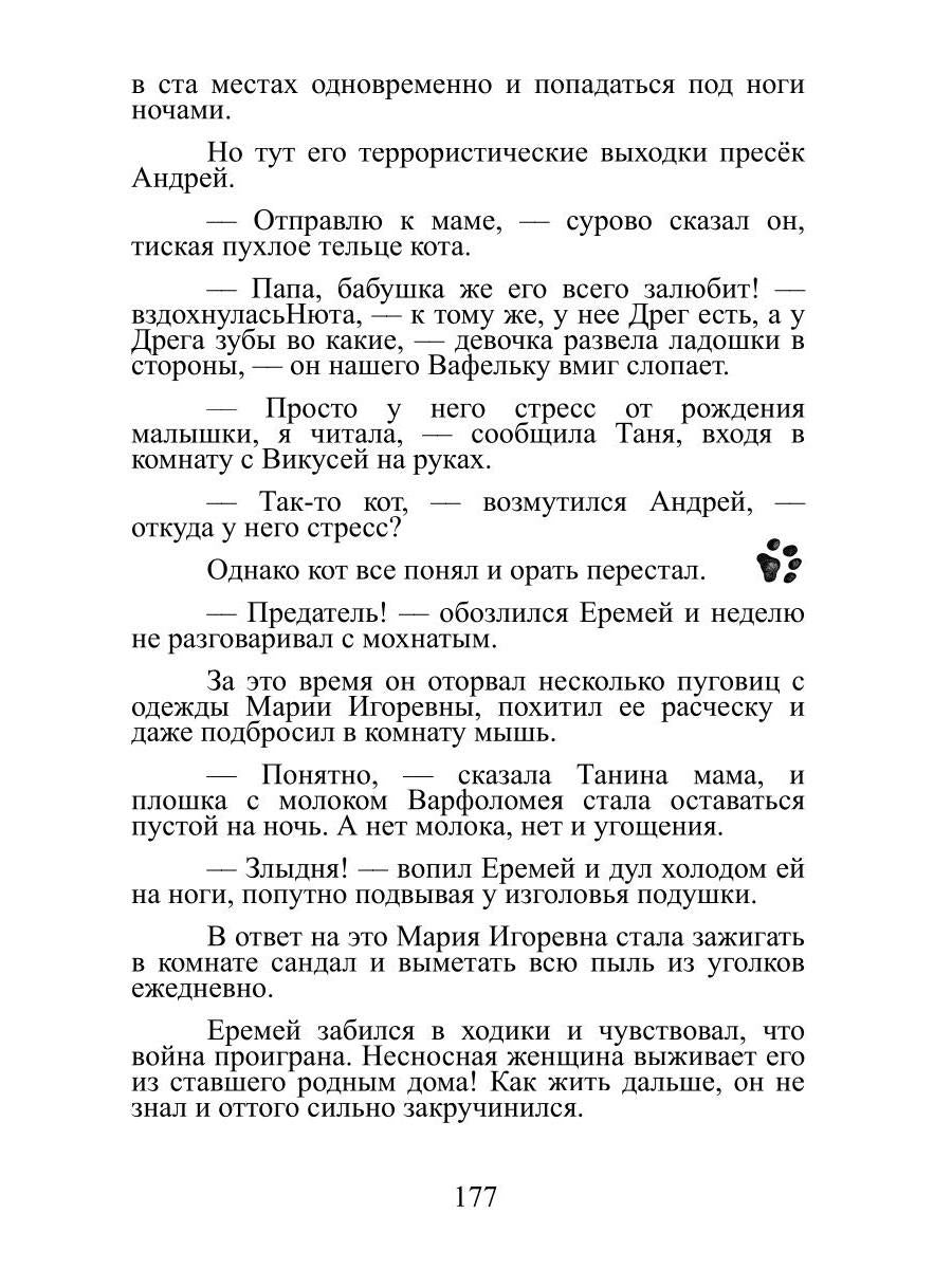 Кот там