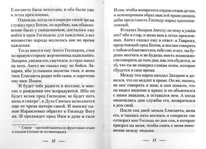 Евангельская история