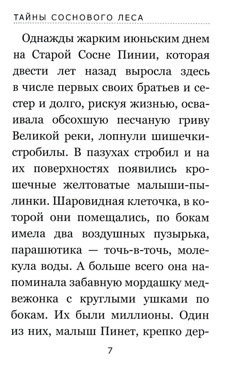Тайны соснового леса