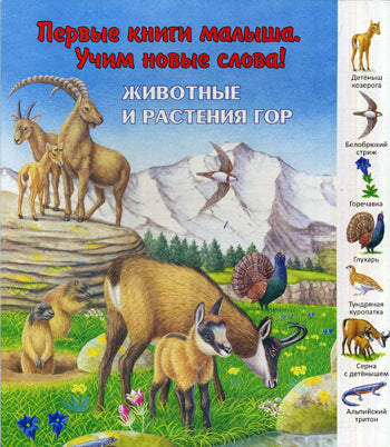 "Первые книги малыша. Учим новые слова!" Животные и растения гор