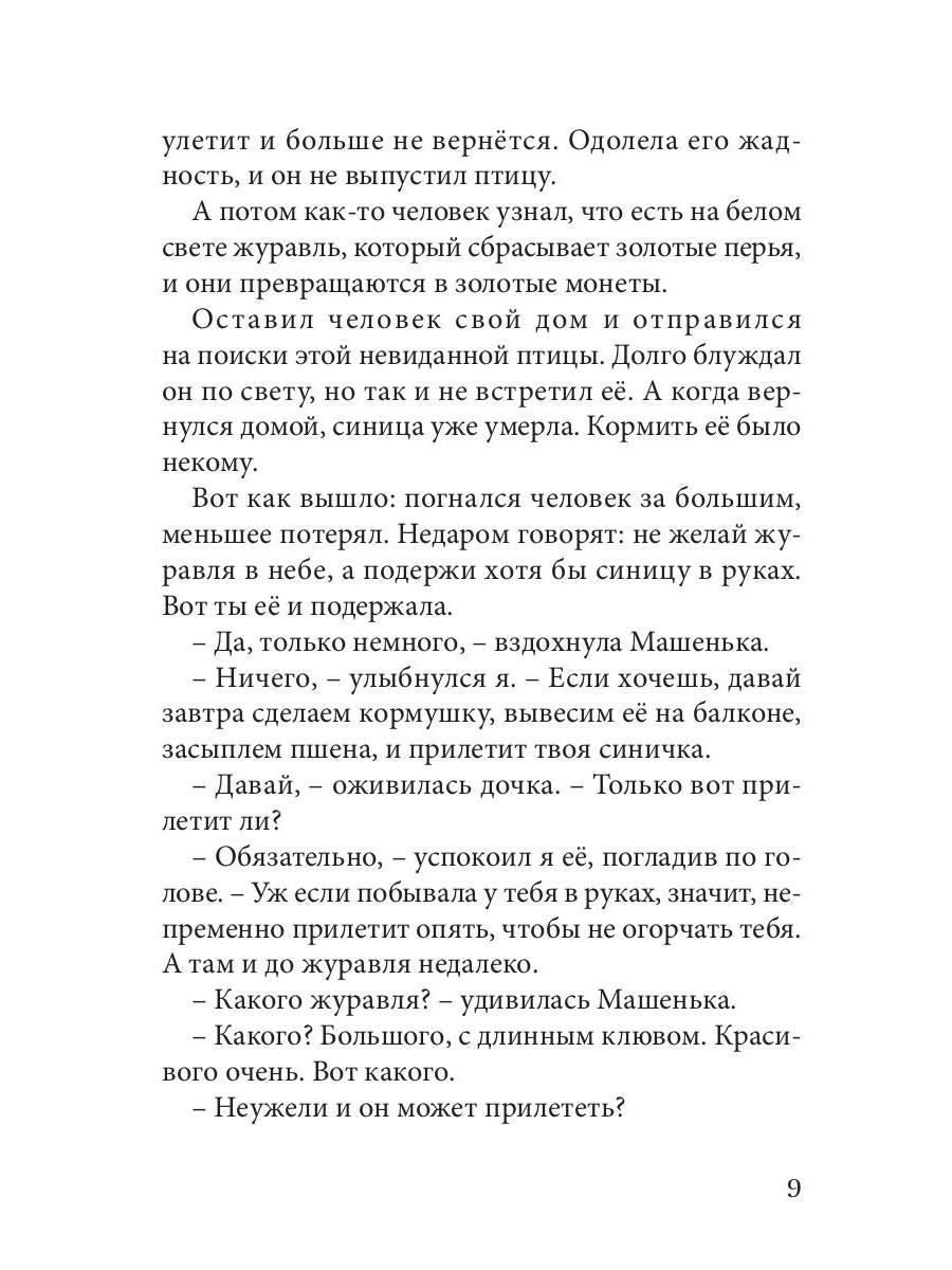 Огненные чайки: скази и истории о птицах