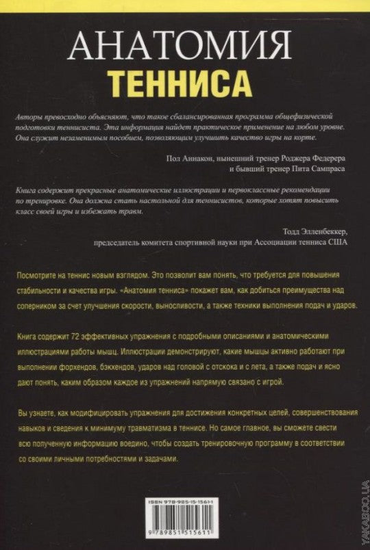 Анатомия тенниса