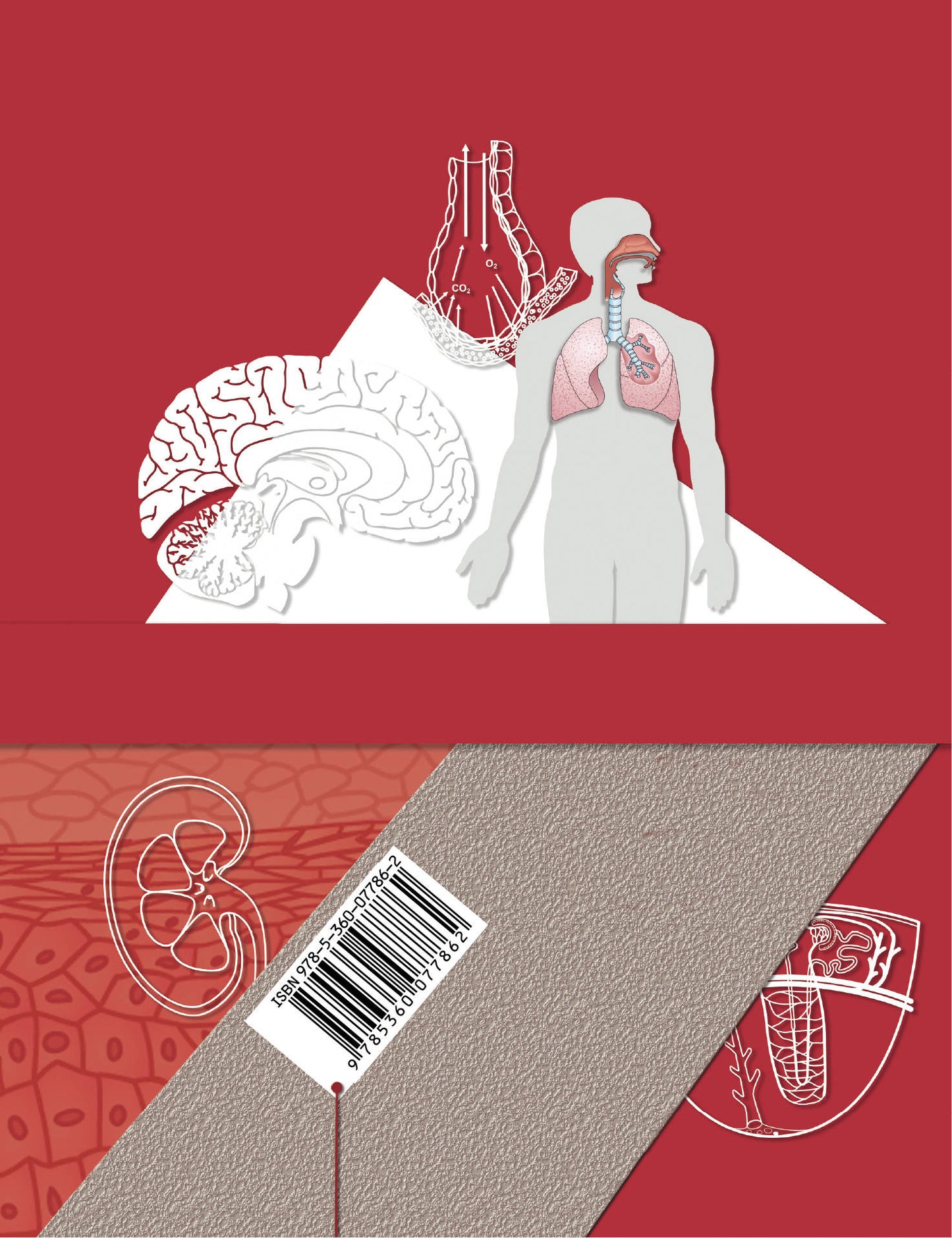 Biologie. 9ème classe. Учебник.