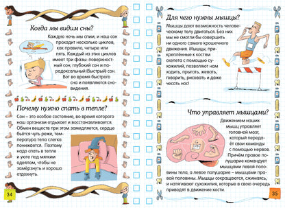 Тело человека
